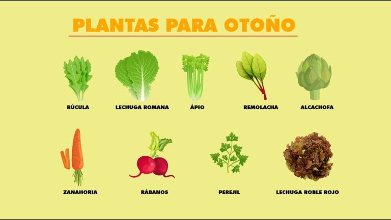 Renueva tu huerto con estas hortalizas para plantar en otoño