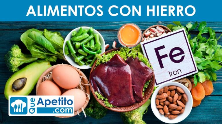 Descubre las hortalizas más ricas en hierro para una dieta saludable