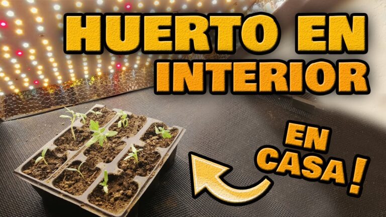 Transforma tu hogar con hortalizas de interior: ¡Descubre cómo!