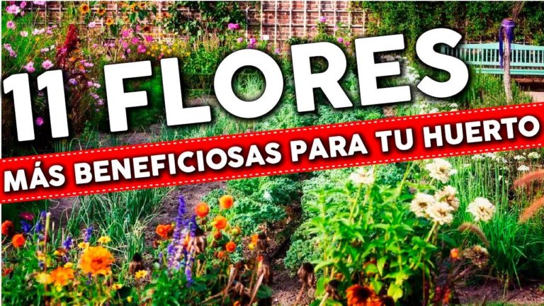 Descubre la maravilla de combinar plantas de flor y hortalizas en tu jardín