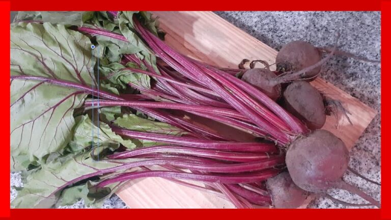 Descubre cómo cocinar hojas de remolacha roja en deliciosas recetas