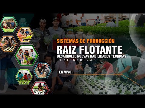 Descubre las sorprendentes propiedades de las hortalizas sobre raíz