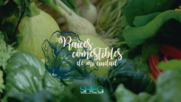 Descubre las deliciosas hortalizas con raíz comestible para una alimentación nutritiva