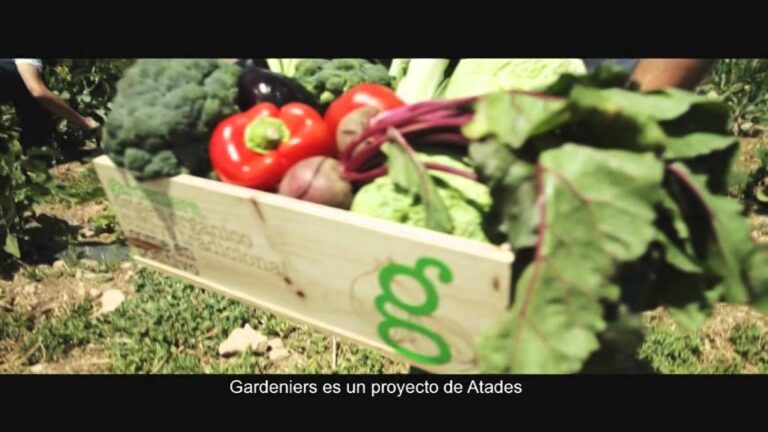 Descubre las deliciosas hortalizas ecológicas de Zaragoza