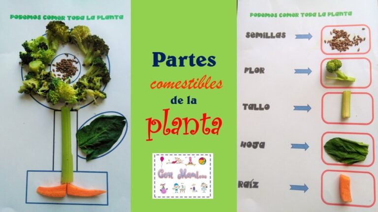 Descubre las hortalizas de tallo comestible para una dieta saludable en casa 🌿 #hortalizasdeltallo #dietasaludable